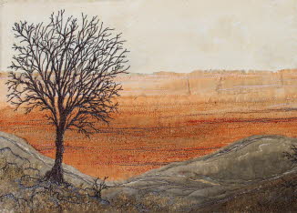 Desolate Moor