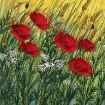 Red Field Poppies 